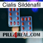 Cialis Sildénafil 05